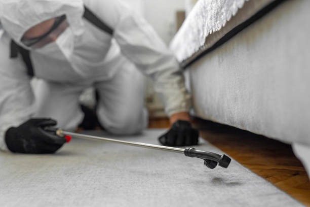 Professional Ant Control technician working in Lake Clarke Shores, FL