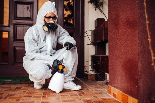 Reliable Ant Control contractor in Lake Clarke Shores, FL by Show Me Pest Control
